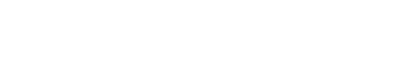 Express Premium Logo